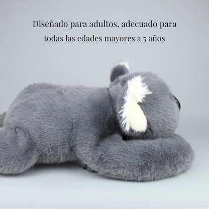 AbrazoKoala – Reduce ansiedad al instante